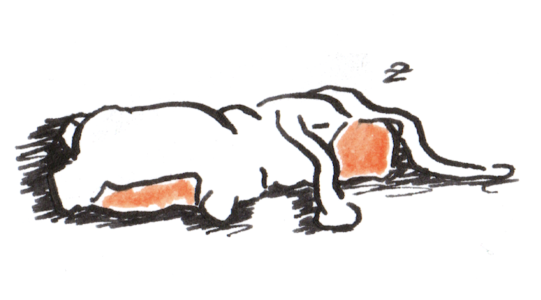 Why Am I Always Overthinking? (And How to Stop the Loop)