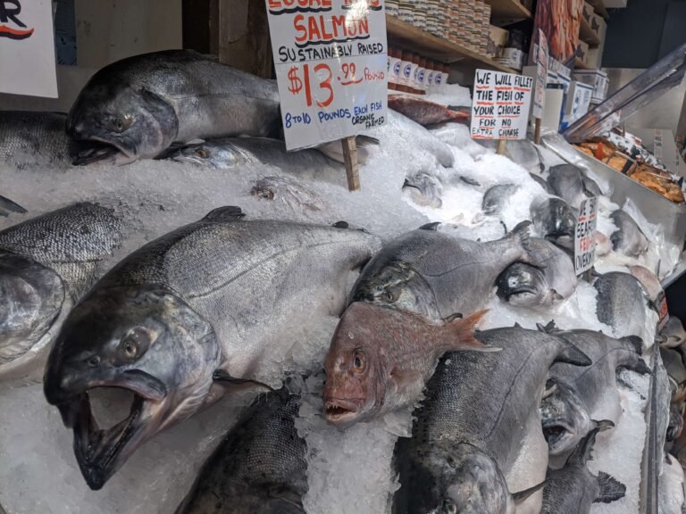 Crispy Carbon Steel Salmon: How Kevin Feeds the Inner Bear